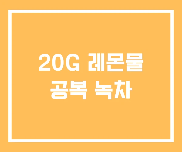 20G 레몬물 공복 녹차