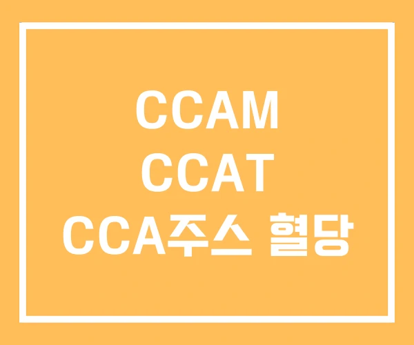 CCAM CCAT CCA주스 혈당