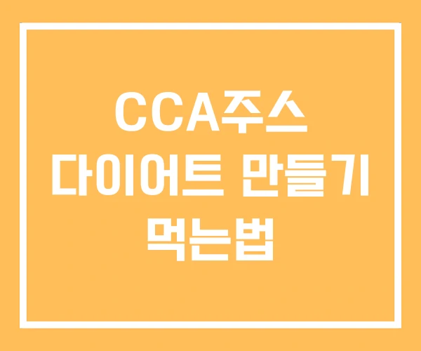 CCA주스 다이어트 만들기 먹는법