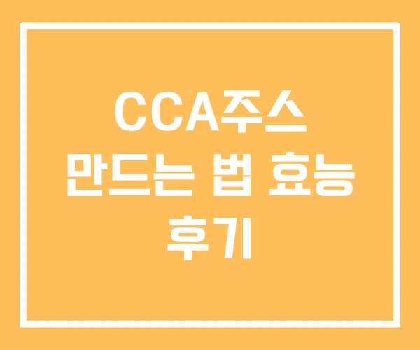 CCA주스 만드는 법 효능 후기
