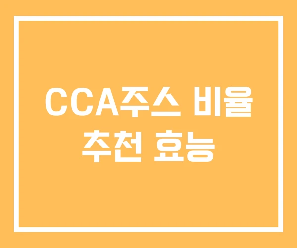 CCA주스 비율 추천 효능
