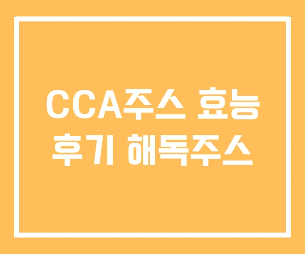 CCA주스 효능 후기 해독주스 CCA주스 효능 후기 해독주스