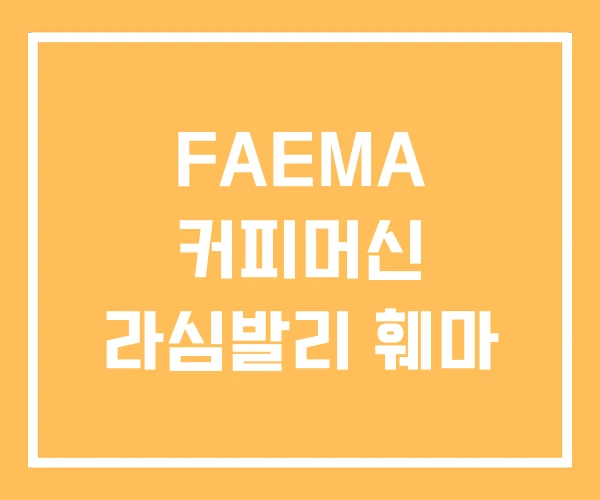 FAEMA 커피머신 라심발리 훼마