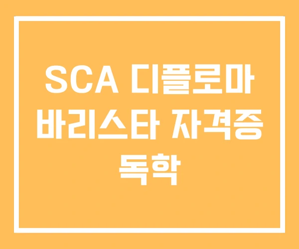SCA 디플로마 바리스타 자격증 독학