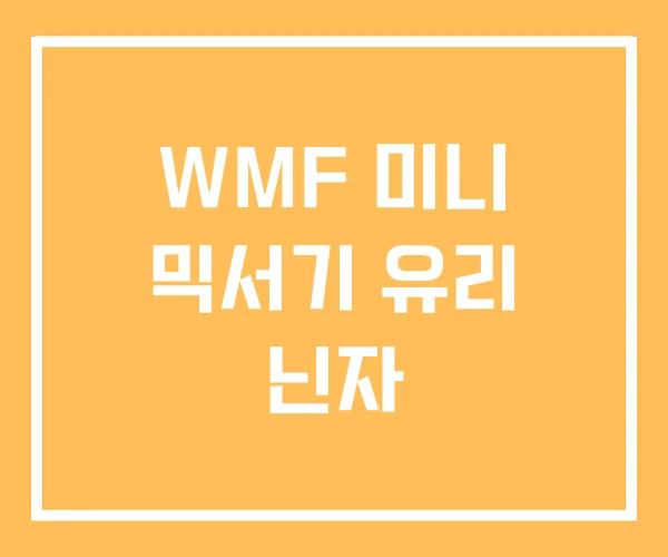 WMF 미니 믹서기 유리 닌자 WMF 미니 믹서기 유리 닌자