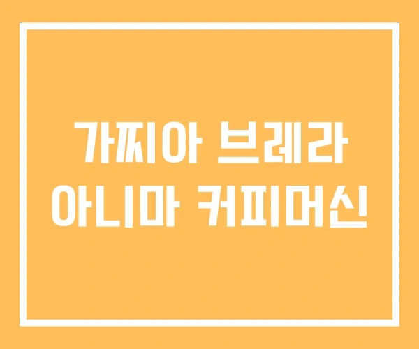 가찌아 브레라 아니마 커피머신
