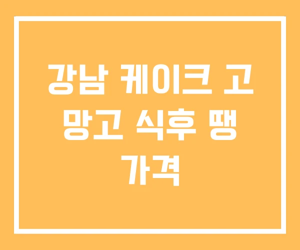 강남 케이크 고 망고 식후 땡 가격