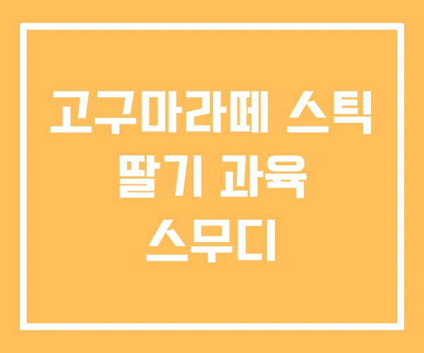 고구마라떼 스틱 딸기 과육 스무디