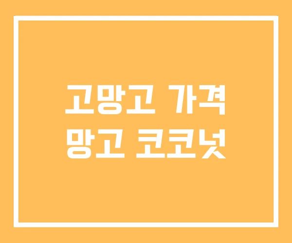 고망고 가격 망고 코코넛 고망고 가격 망고 코코넛