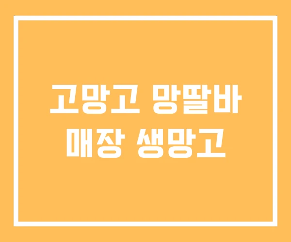 고망고 망딸바 매장 생망고 고망고 망딸바 매장 생망고