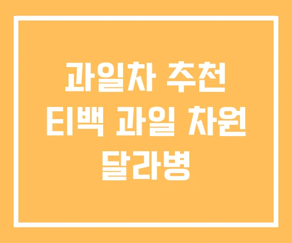 과일차 추천 티백 과일 차원 달라병