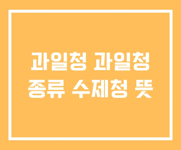 과일청 과일청 종류 수제청 뜻 과일청 과일청 종류 수제청 뜻