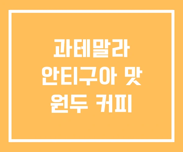 과테말라 안티구아 맛 원두 커피