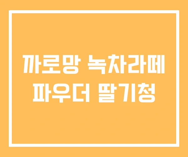 까로망 녹차라떼 파우더 딸기청 까로망 녹차라떼 파우더 딸기청