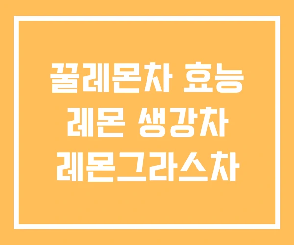 꿀레몬차 효능 레몬 생강차 레몬그라스차