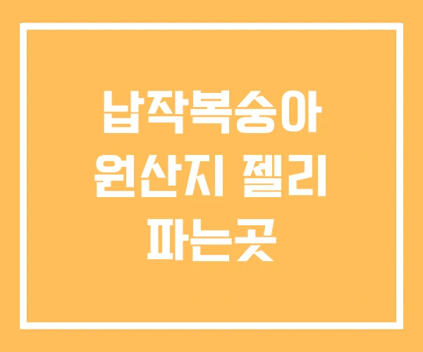 납작복숭아 원산지 젤리 파는곳 납작복숭아 원산지 젤리 파는곳