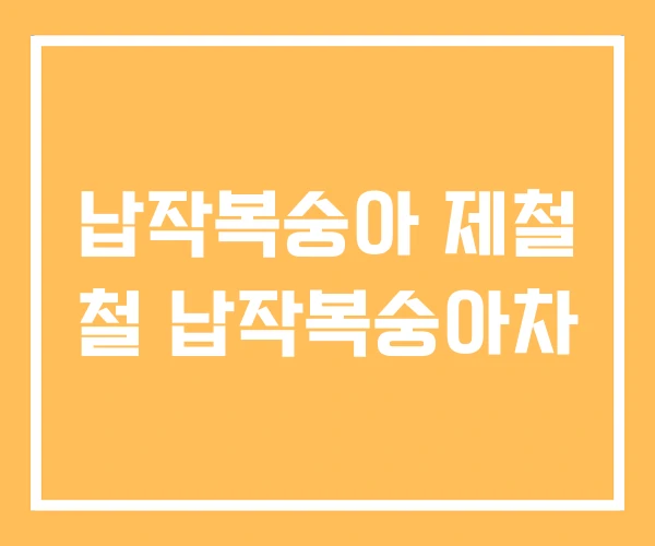 납작복숭아 제철 철 납작복숭아차 납작복숭아 제철 철 납작복숭아차