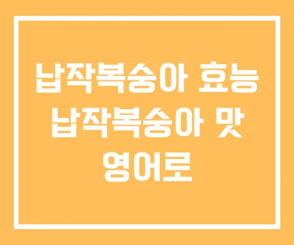 납작복숭아 효능 납작복숭아 맛 영어로