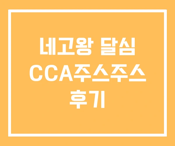 네고왕 달심 CCA주스주스 후기 네고왕 달심 CCA주스주스 후기