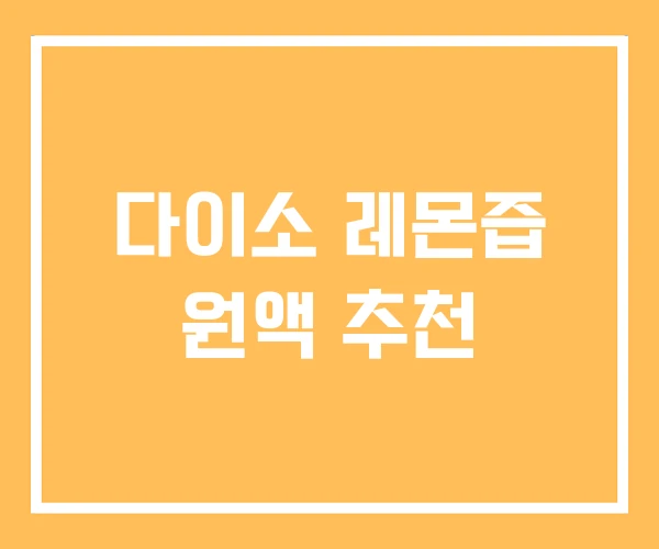 다이소 레몬즙 원액 추천