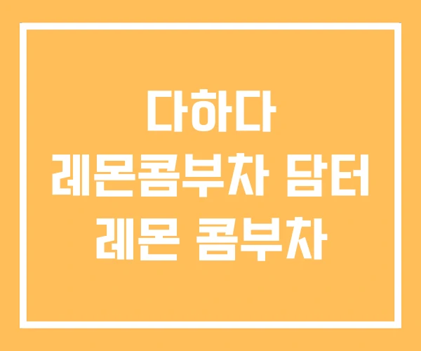 다하다 레몬콤부차 담터 레몬 콤부차