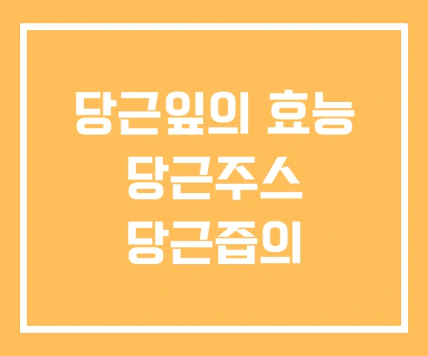 당근잎의 효능 당근주스 당근즙의