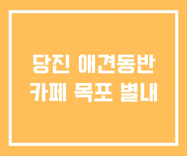 당진 애견동반 카페 목포 별내 당진 애견동반 카페 목포 별내