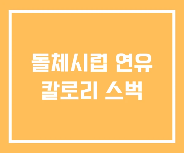 돌체시럽 연유 칼로리 스벅 돌체시럽 연유 칼로리 스벅