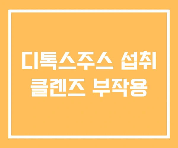 디톡스주스 섭취 클렌즈 부작용 디톡스주스 섭취 클렌즈 부작용