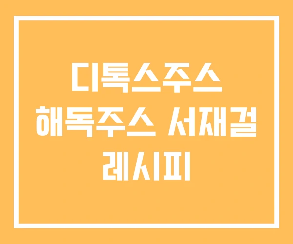 디톡스주스 해독주스 서재걸 레시피