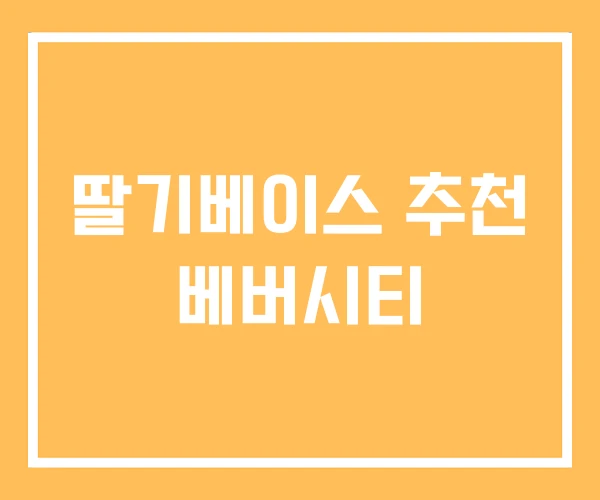 딸기베이스 추천 베버시티