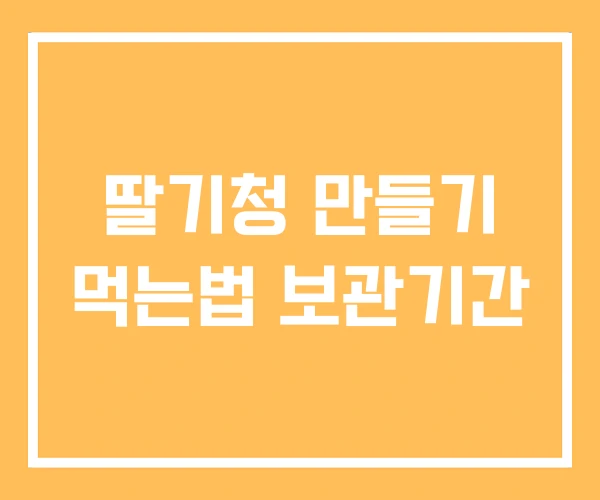 딸기청 만들기 먹는법 보관기간