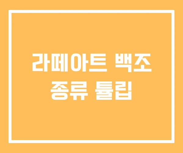 라떼아트 백조 종류 튤립