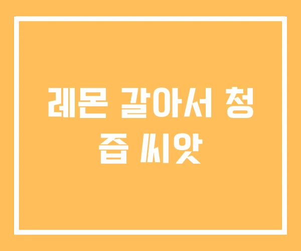 레몬 갈아서 청 즙 씨앗
