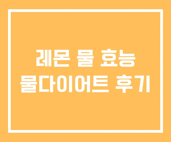 레몬 물 효능 물다이어트 후기 레몬 물 효능 물다이어트 후기