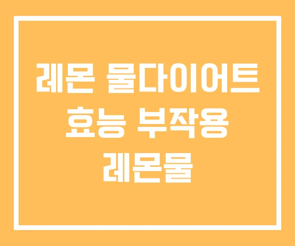 레몬 물다이어트 효능 부작용 레몬물