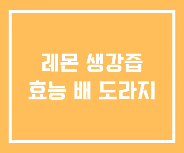 레몬 생강즙 효능 배 도라지