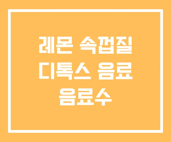 레몬 속껍질 디톡스 음료 음료수 레몬 속껍질 디톡스 음료 음료수