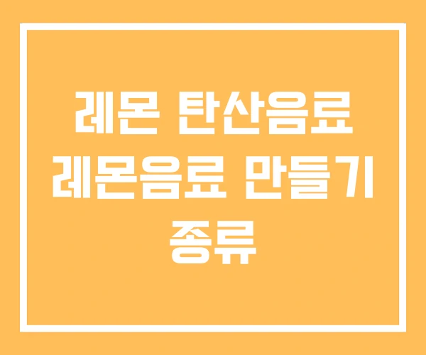 레몬 탄산음료 레몬음료 만들기 종류