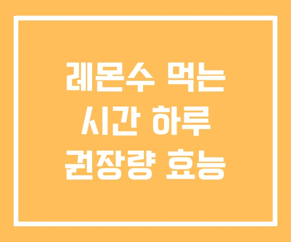 레몬수 먹는 시간 하루 권장량 효능