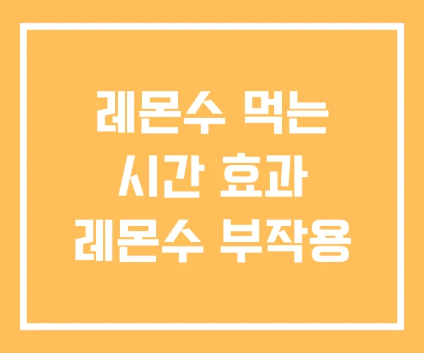 레몬수 먹는 시간 효과 레몬수 부작용 레몬수 먹는 시간 효과 레몬수 부작용
