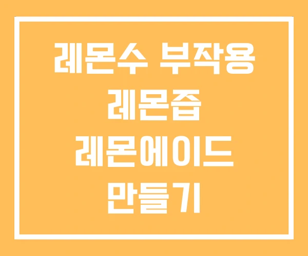 레몬수 부작용 레몬즙 레몬에이드 만들기