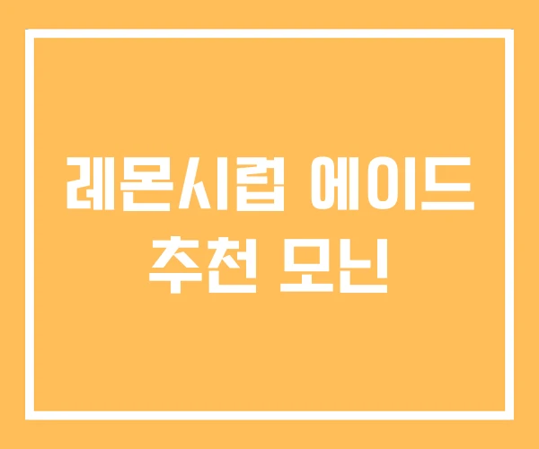 레몬시럽 에이드 추천 모닌