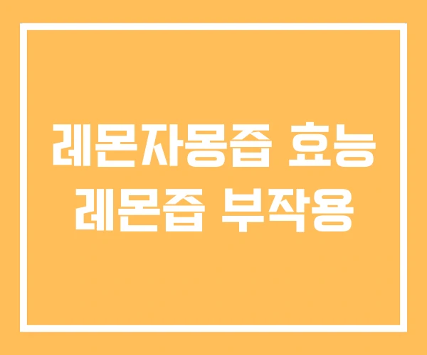 레몬자몽즙 효능 레몬즙 부작용