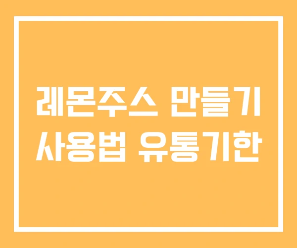 레몬주스 만들기 사용법 유통기한