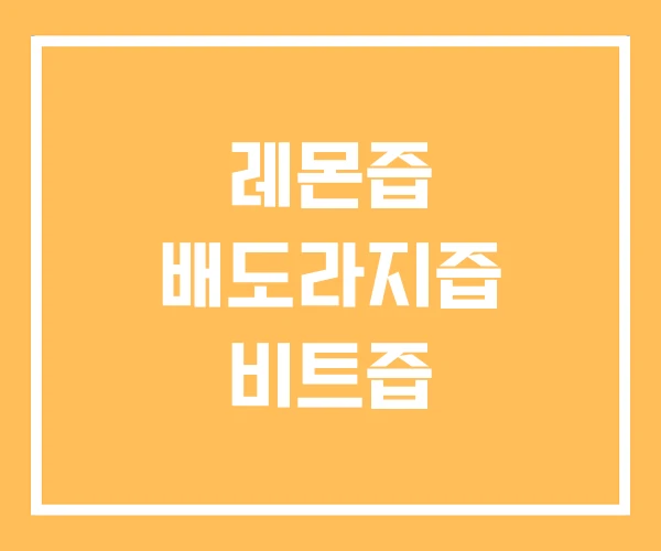 레몬즙 배도라지즙 비트즙