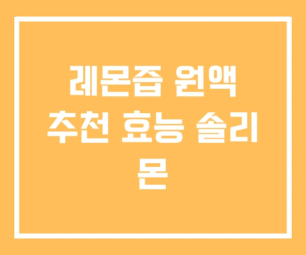 레몬즙 원액 추천 효능 솔리 몬 레몬즙 원액 추천 효능 솔리 몬