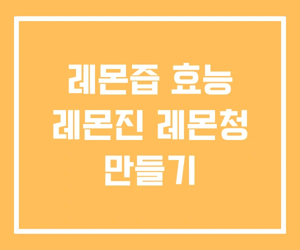레몬즙 효능 레몬진 레몬청 만들기