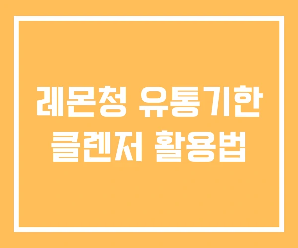 레몬청 유통기한 클렌저 활용법