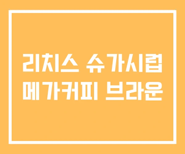 리치스 슈가시럽 메가커피 브라운 리치스 슈가시럽 메가커피 브라운